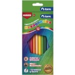 Lapizes de Colores Hexagonales 12 UND