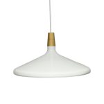 Luminaria Colgante Kale 1XE27 IP20 220V Dimensiones 39X28 CMS. no Incluye Ampolleta