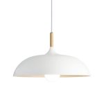 Luminaria Colgante Mane 1XE27 IP20 220V Dimensiones 45X25 CMS. no Incluye Ampolleta